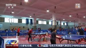 2026世界杯官方网站 乒乓球台垫